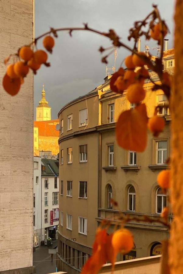Main Square Dream Apartment Загреб Екстериор снимка